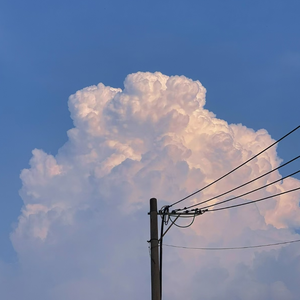 小川阿佐美PGD606
